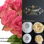 Moleeks Rose Adele Set