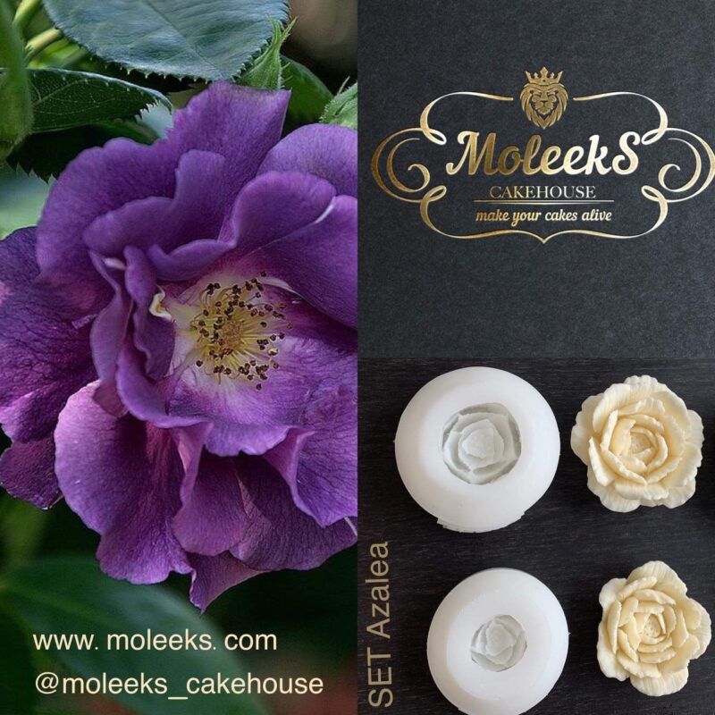 Moleeks Azalea