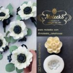 Moleeks Anemone