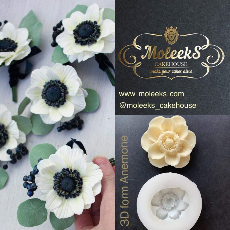 Moleeks Anemone