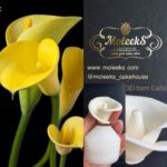 Moleeks Calla