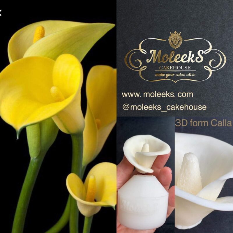 Moleeks Calla
