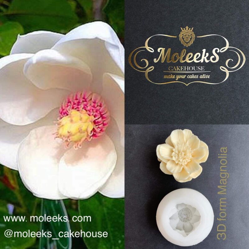 Moleeks Magnolia