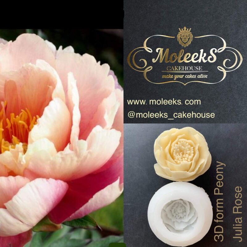 Moleeks Peony