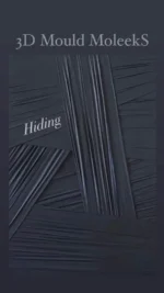 moleeks-hidding-molde-3d