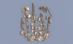 molde em silicone mallow roses myosotis